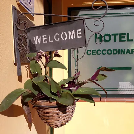 Cecco Di Nara 2* Massarosa