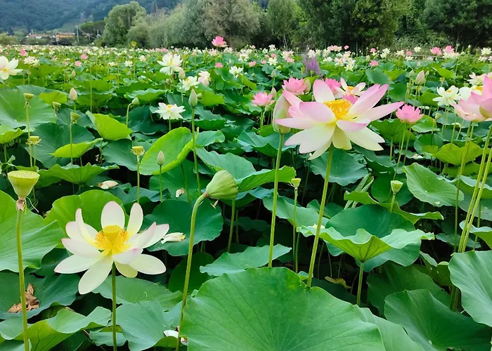 Aparthotel Cecco Di Nara 2*